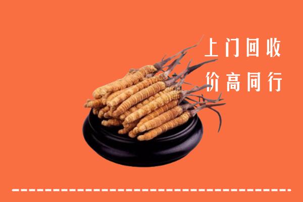 高价求购：民众镇回收散虫草