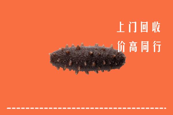 高价求购：民众镇回收海参